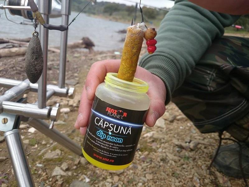 SENZOR PLANET IN SPANIA 2014 - dip-neon-spania.jpg